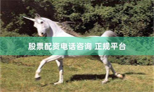 股票配资电话咨询 正规平台